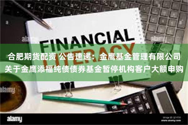 合肥期货配资 公告速递：金鹰基金管理有限公司关于金鹰添福纯债债券基金暂停机构客户大额申购