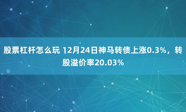 股票杠杆怎么玩 12月24日神马转债上涨0.3%，转股溢价率20.03%