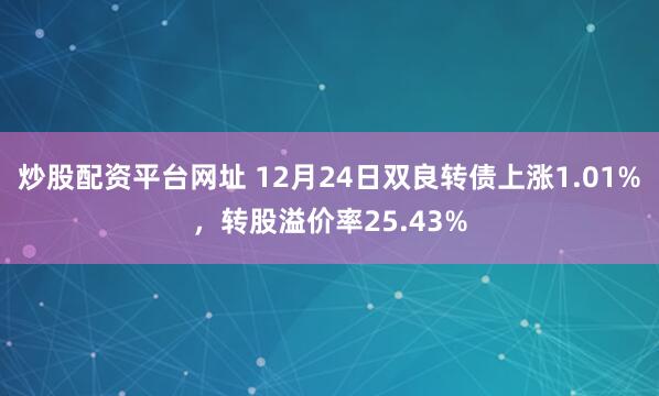 炒股配资平台网址 12月24日双良转债上涨1.01%，转股溢价率25.43%