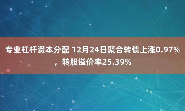 专业杠杆资本分配 12月24日聚合转债上涨0.97%，转股溢价率25.39%