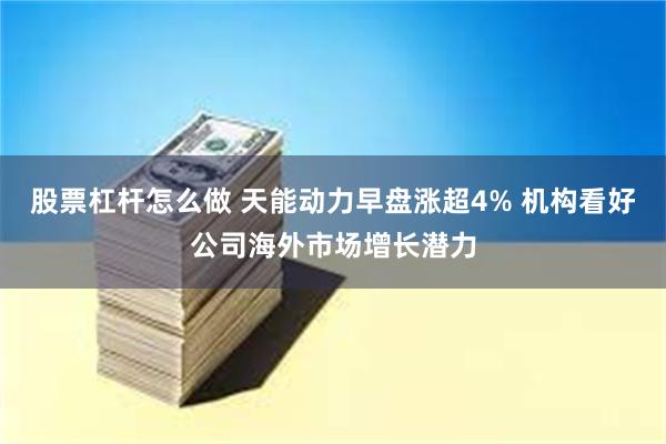 股票杠杆怎么做 天能动力早盘涨超4% 机构看好公司海外市场增长潜力