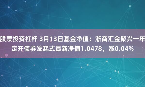 股票投资杠杆 3月13日基金净值：浙商汇金聚兴一年定开债券发起式最新净值1.0478，涨0.04%